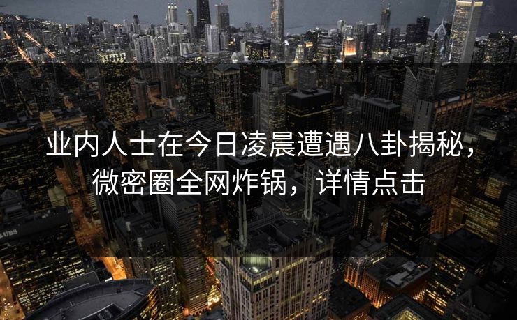 业内人士在今日凌晨遭遇八卦揭秘，微密圈全网炸锅，详情点击