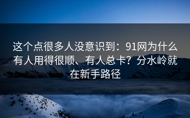 这个点很多人没意识到：91网为什么有人用得很顺、有人总卡？分水岭就在新手路径